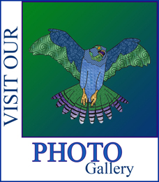 visit our photo gallery